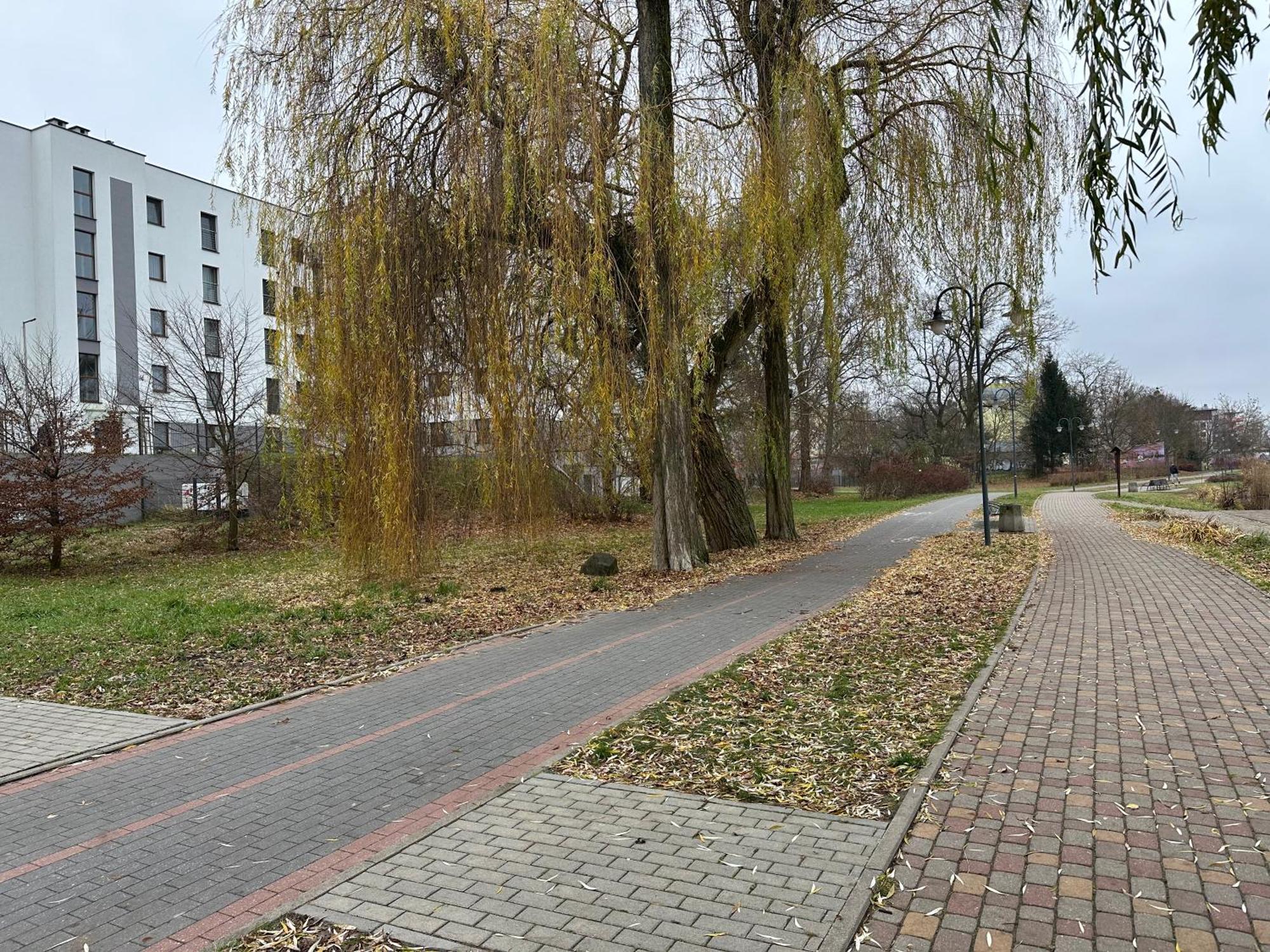 Apartament Kosciuszki 33F Iława Kültér fotó