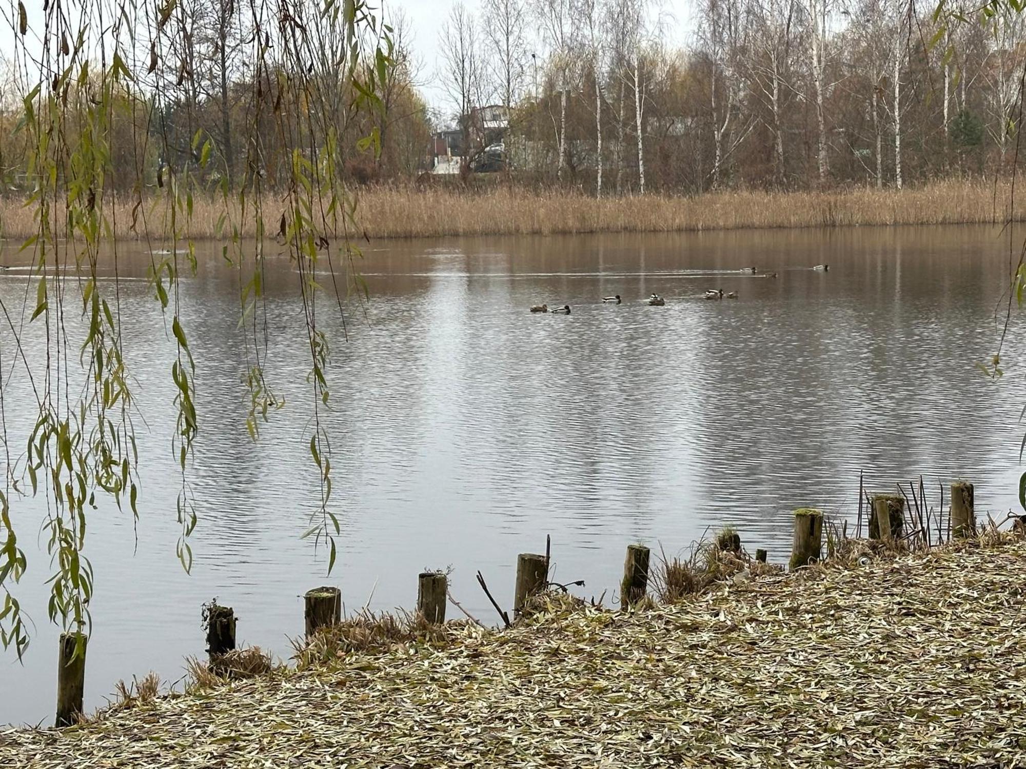 Apartament Kosciuszki 33F Iława Kültér fotó